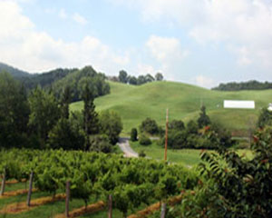 Winery